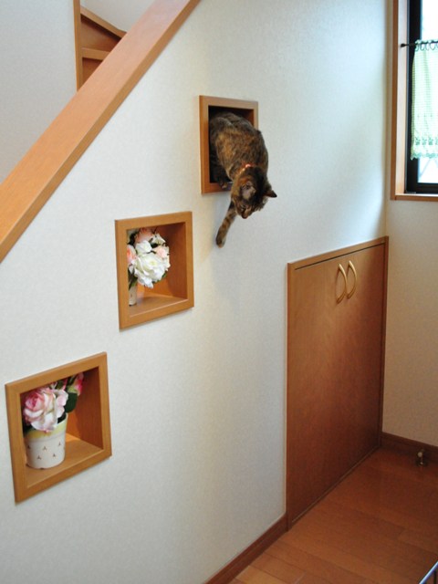 我が物顔で_a0126590_105626.jpg