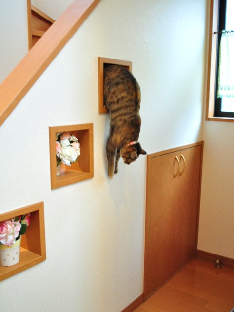 我が物顔で_a0126590_107760.jpg