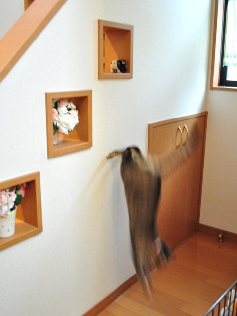 我が物顔で_a0126590_1081191.jpg