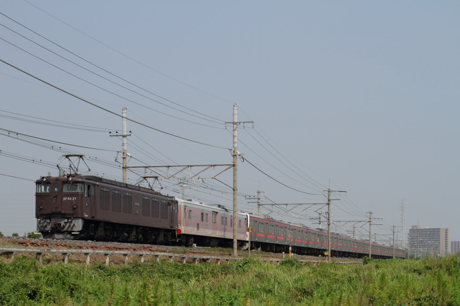 e0132794_7284192.jpg