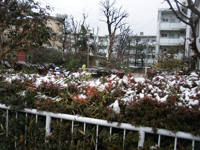 上水の樹木伐採のお知らせ。　２月１３日(日）_c0055900_181217.jpg