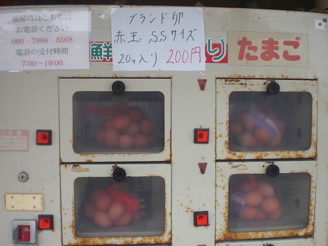 Vending machine of eggs_c0124202_11274398.jpg