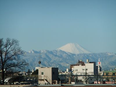 2011年「せたがや梅まつり」開花情報♯4_f0120102_11553869.jpg