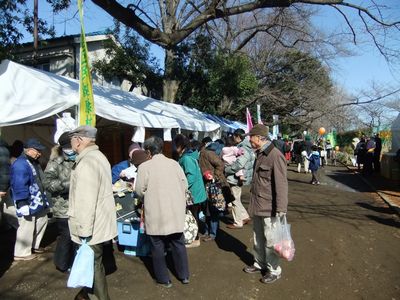 2011年「せたがや梅まつり」開花情報♯4_f0120102_1205763.jpg