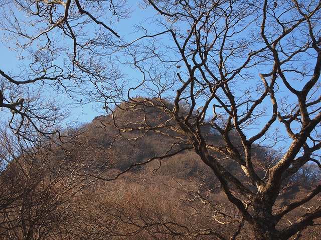 e0039703_19522985.jpg