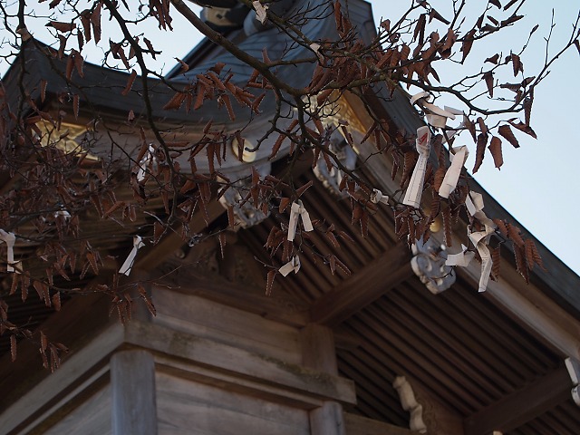 e0039703_19542999.jpg