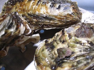 b0046204_1949168.jpg
