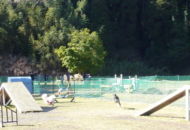 e0018604_17381747.jpg