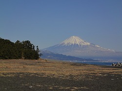 e0220205_22184443.jpg