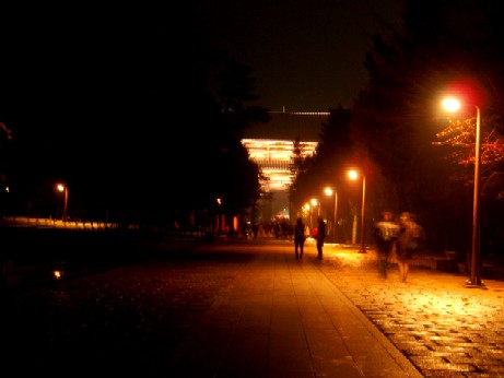 f0043911_38532.jpg