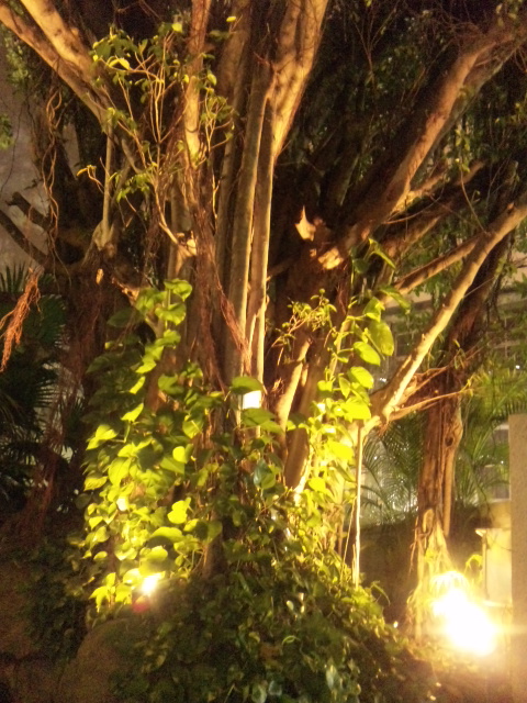 f0115311_1411744.jpg