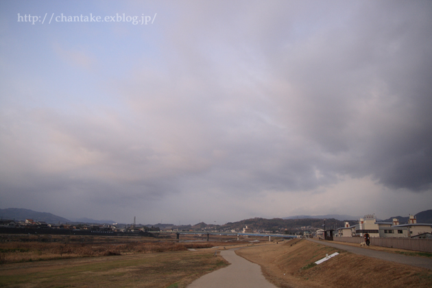 吉野川のトビ_c0189013_9484963.jpg