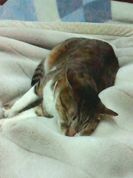 e0203415_09124.jpg