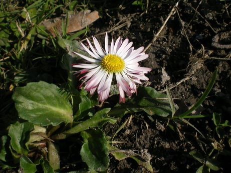 c0124619_744683.jpg