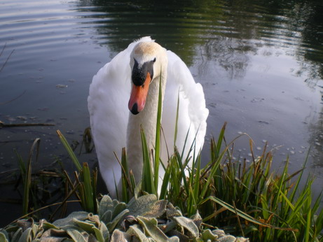 c0124619_754391.jpg