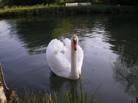 c0124619_75661.jpg