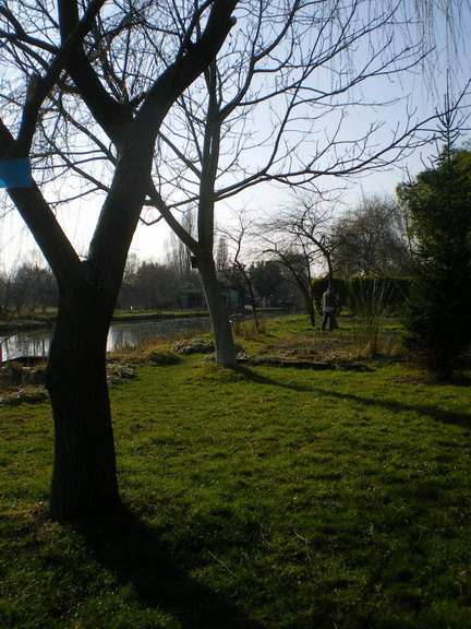 c0124619_76465.jpg