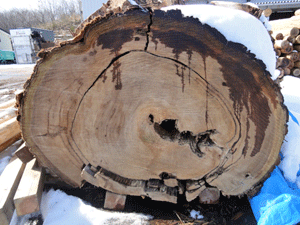 f0232920_1348311.gif