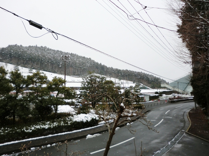 《昨日の晩ご飯はこんなカレーにしました＾＾／おやつは焼き芋です～♪／風景／野鳥》_b0033423_0393084.jpg