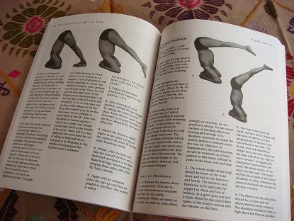 アイアンガー師の「The Illustrated Light on Yoga」を読んでます。_a0120328_10235024.jpg