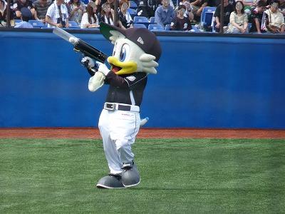 マーくん、一羽の苦労_b0166128_9103267.jpg
