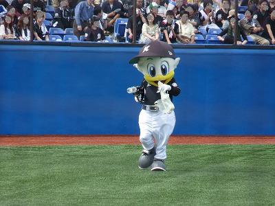 マーくん、一羽の苦労_b0166128_984672.jpg