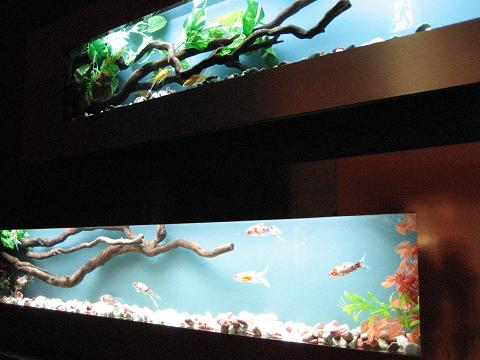 c0081032_17501044.jpg