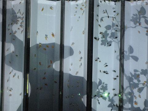 c0081032_18111475.jpg
