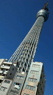 Today\'s(13 FEB 2011) SKY TREE_f0164334_1405474.jpg