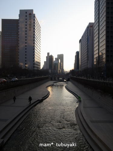 e0081339_1894057.jpg