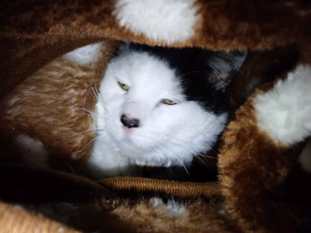 a0192147_4442981.jpg