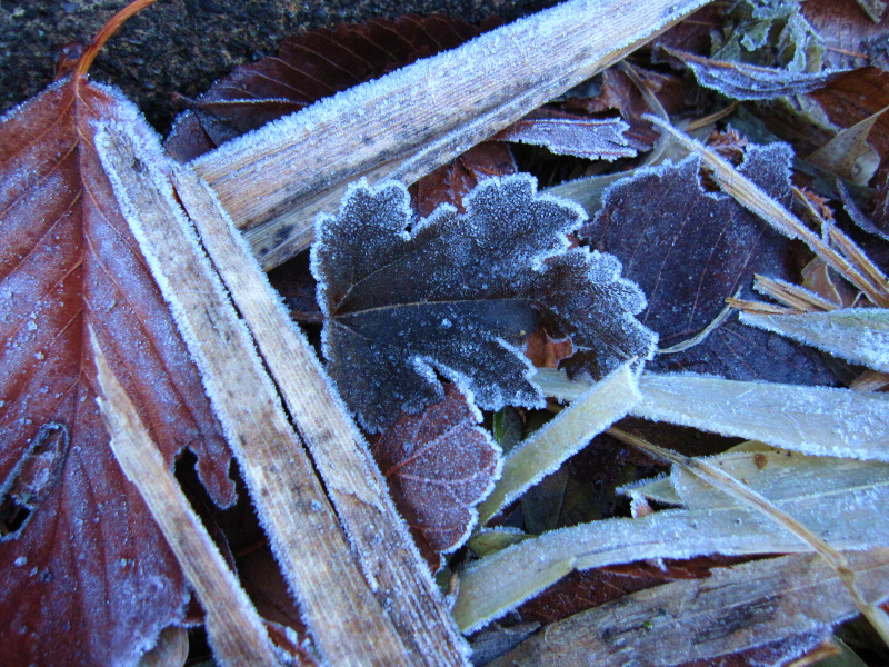 b0097747_23554366.jpg