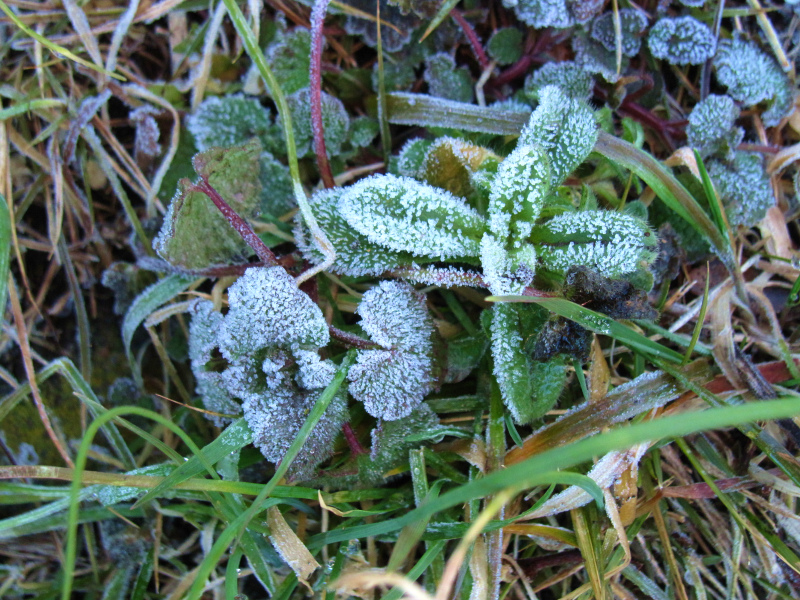 b0097747_23562449.jpg