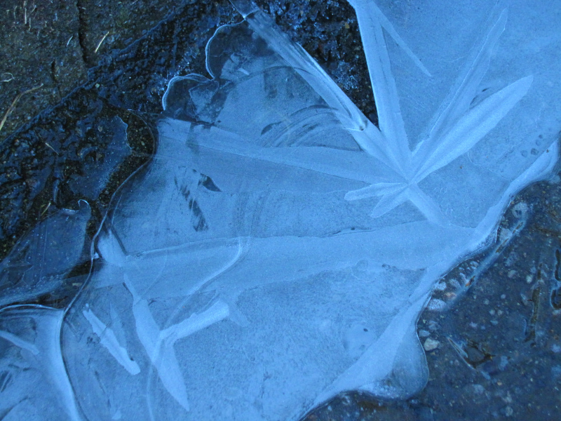 b0097747_2356475.jpg
