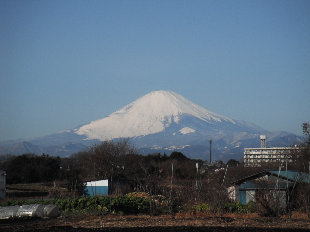 やっと晴れました・・・絶景・・富士　畑から・・_c0222448_1218374.jpg