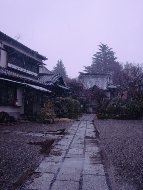 「先日の羽田空港杮落としでやってましたよ」_b0195849_12565417.jpg