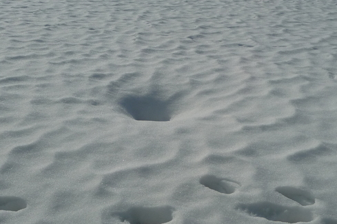 雪 の 公 園 に て_e0002850_22232932.jpg