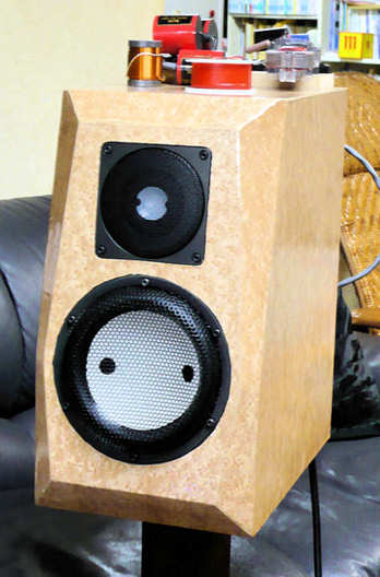 Accuton 2Way---大失敗作？ : 猫とオーディオ…非日常の記録