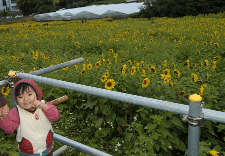 c0180460_12525.jpg