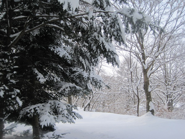 f0236260_21593412.jpg