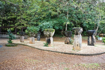d0023862_99696.jpg