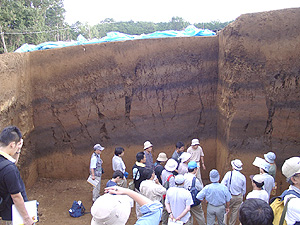 a0186568_21582194.jpg