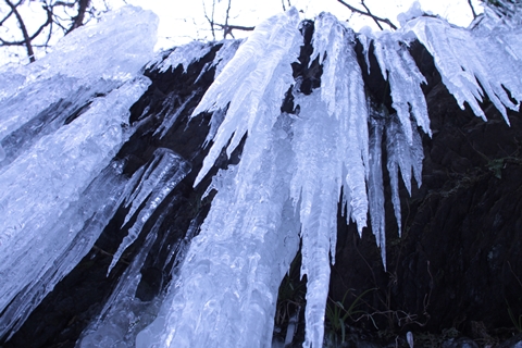 三十槌の氷柱(みそつちのつらら)_b0122883_10491532.jpg