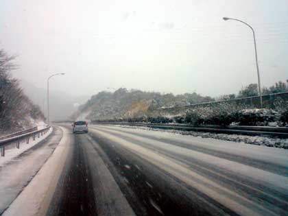 雪降りしきる中! 2011.2.13(日)_b0137083_1346090.jpg