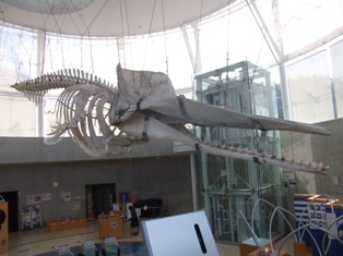 b0201285_2195141.jpg