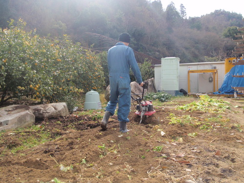 なぜか耕しまくる・・・_b0201492_1149364.jpg