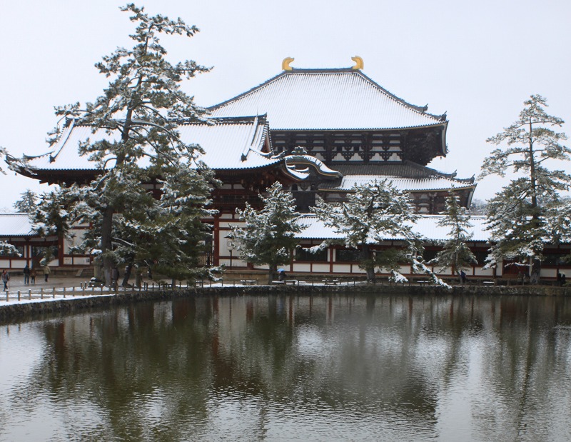 　雪の東大寺_f0214792_1543351.jpg