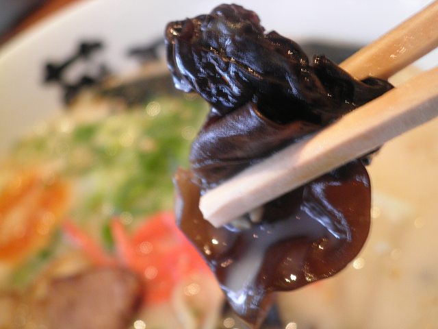 らー麺 藤平 川西多田店_c0118393_17282322.jpg