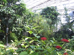 b0186899_18285530.jpg