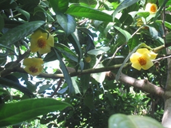 b0186899_18293794.jpg